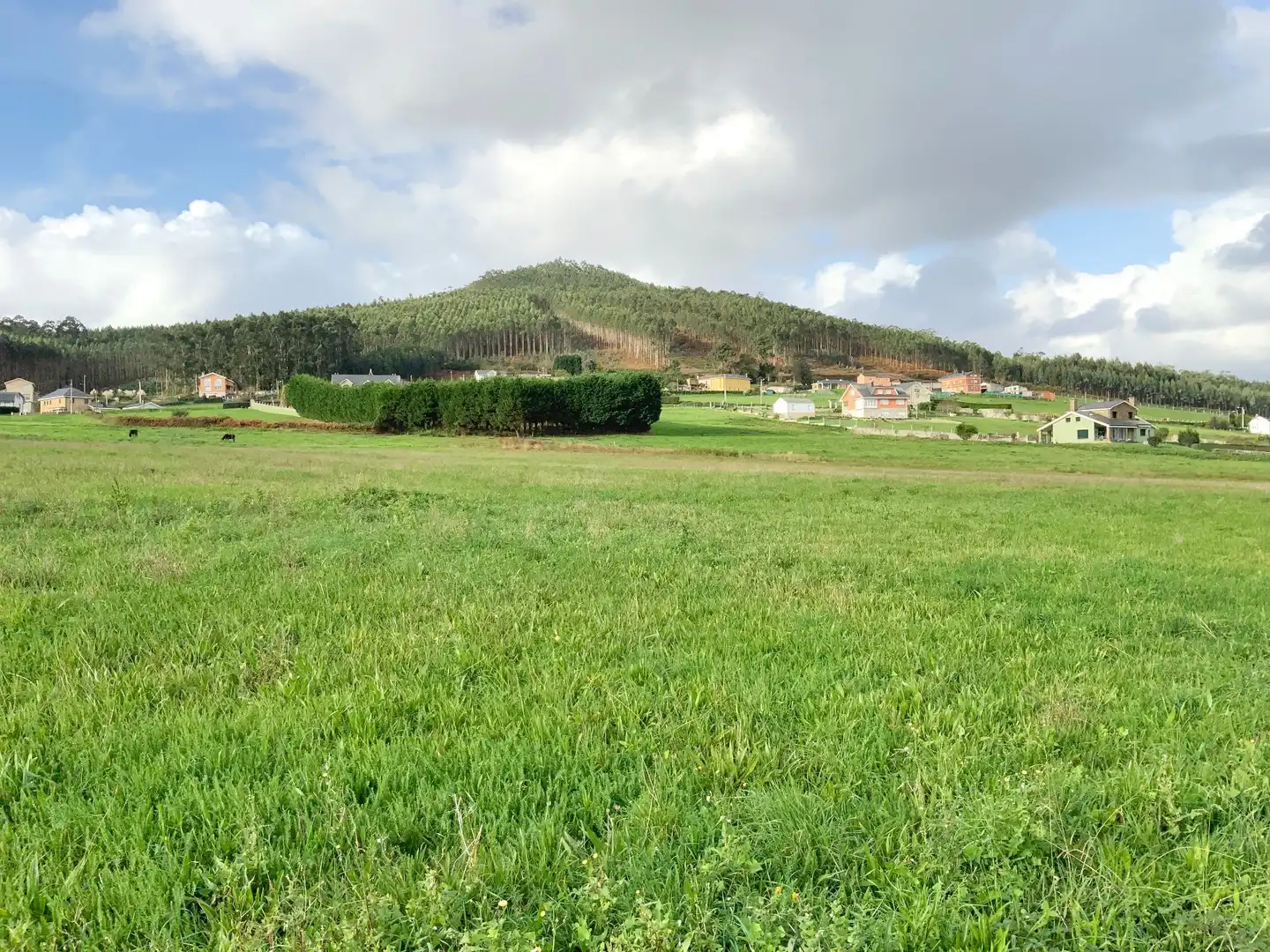 Terreni e lotti in vendita a Palmiz - San Martiño, imagen 6
