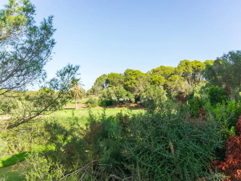 Apartament en venda en Es Mercadal amb Aire condicionat, Terrassa i Piscina