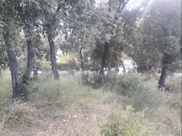 Terreno rústico en venta en Sant Cebrià de Vallalta, imagen 2