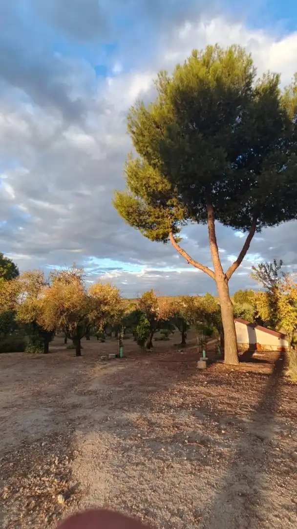 Jardí de Finca rústica en venda en Toledo