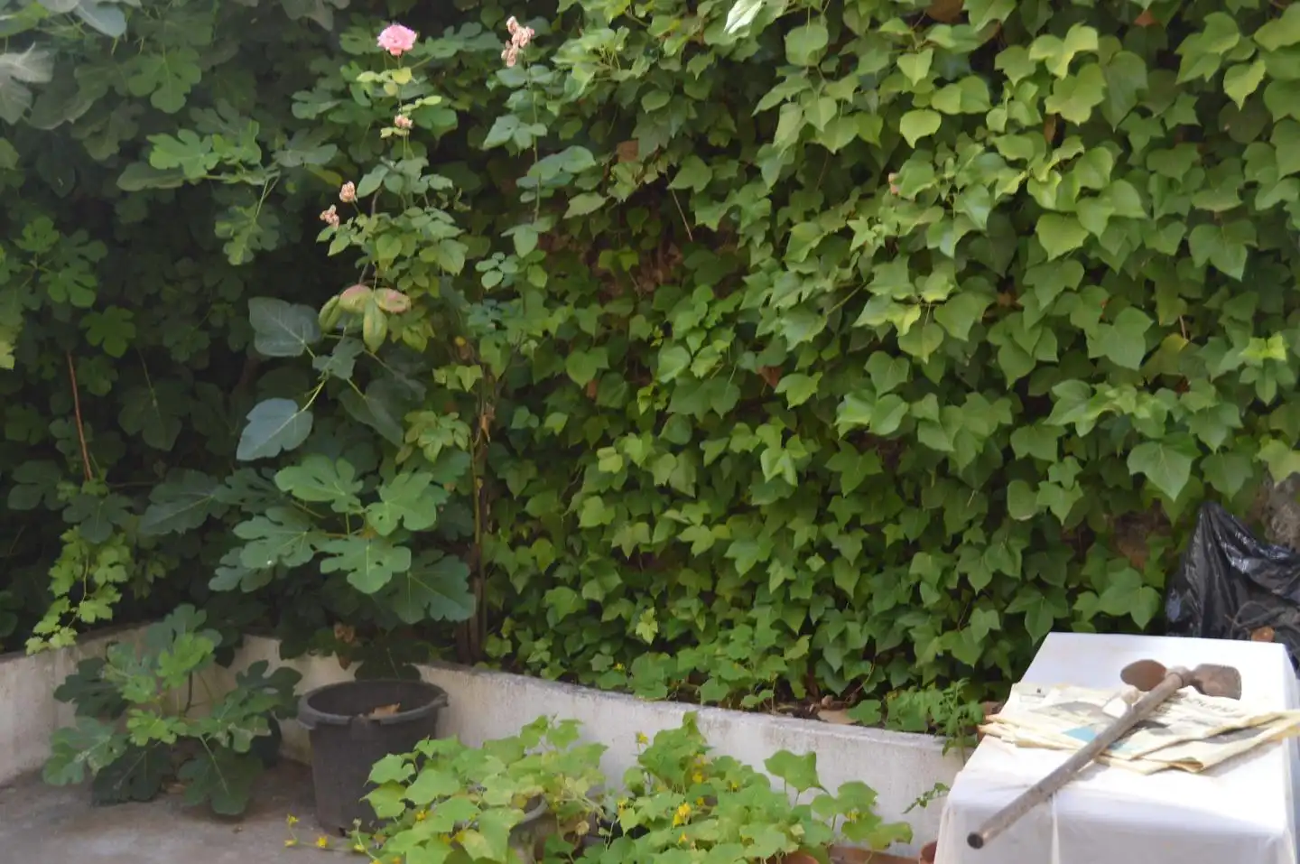 Garden of Houses for sale in Huete  with Furnished