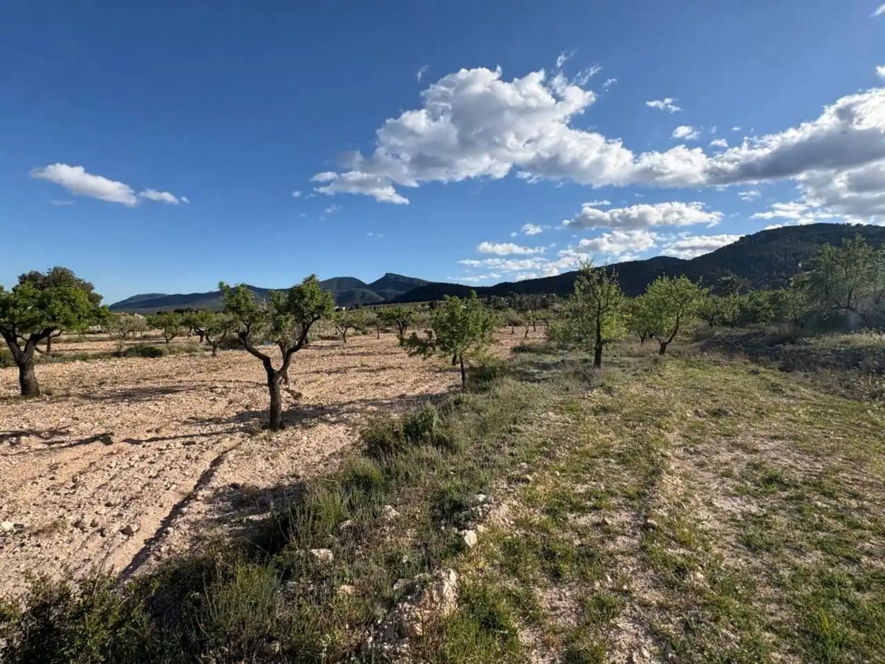 Finca rústica en venda en Castalla amb Calefacció, Jardí privat i Terrassa
