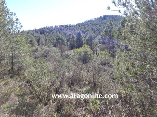 Terreno en Venta en N/A en Caseres