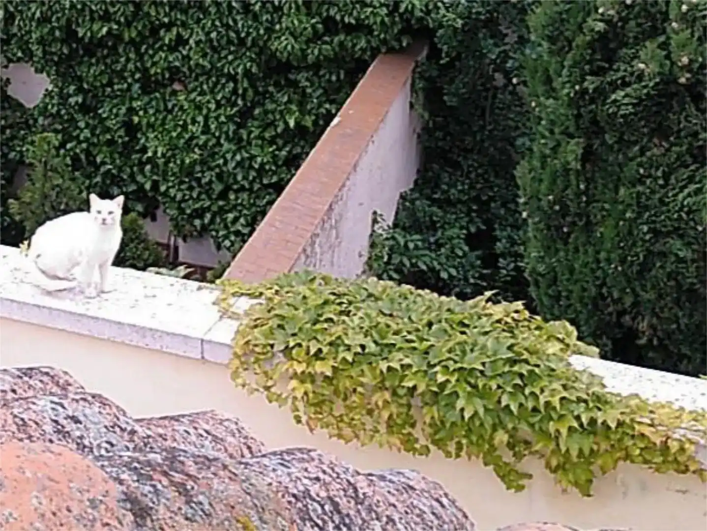Terrassa de Casa adosada en venda en Salamanca Capital amb Aire condicionat i Balcó