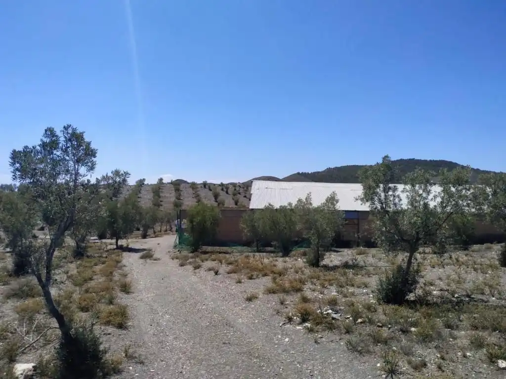 Terreny residencial en venda a Rambla Tabernas, imagen 4