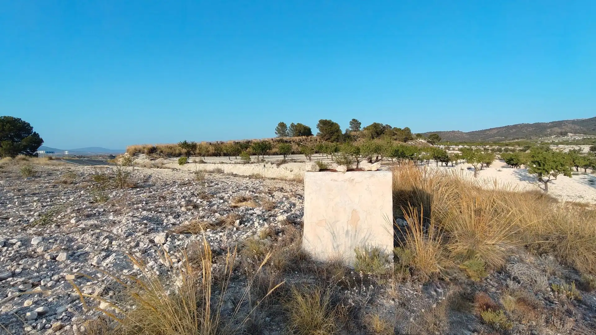 Terreno rustico in vendita a Jumilla, imagen 16