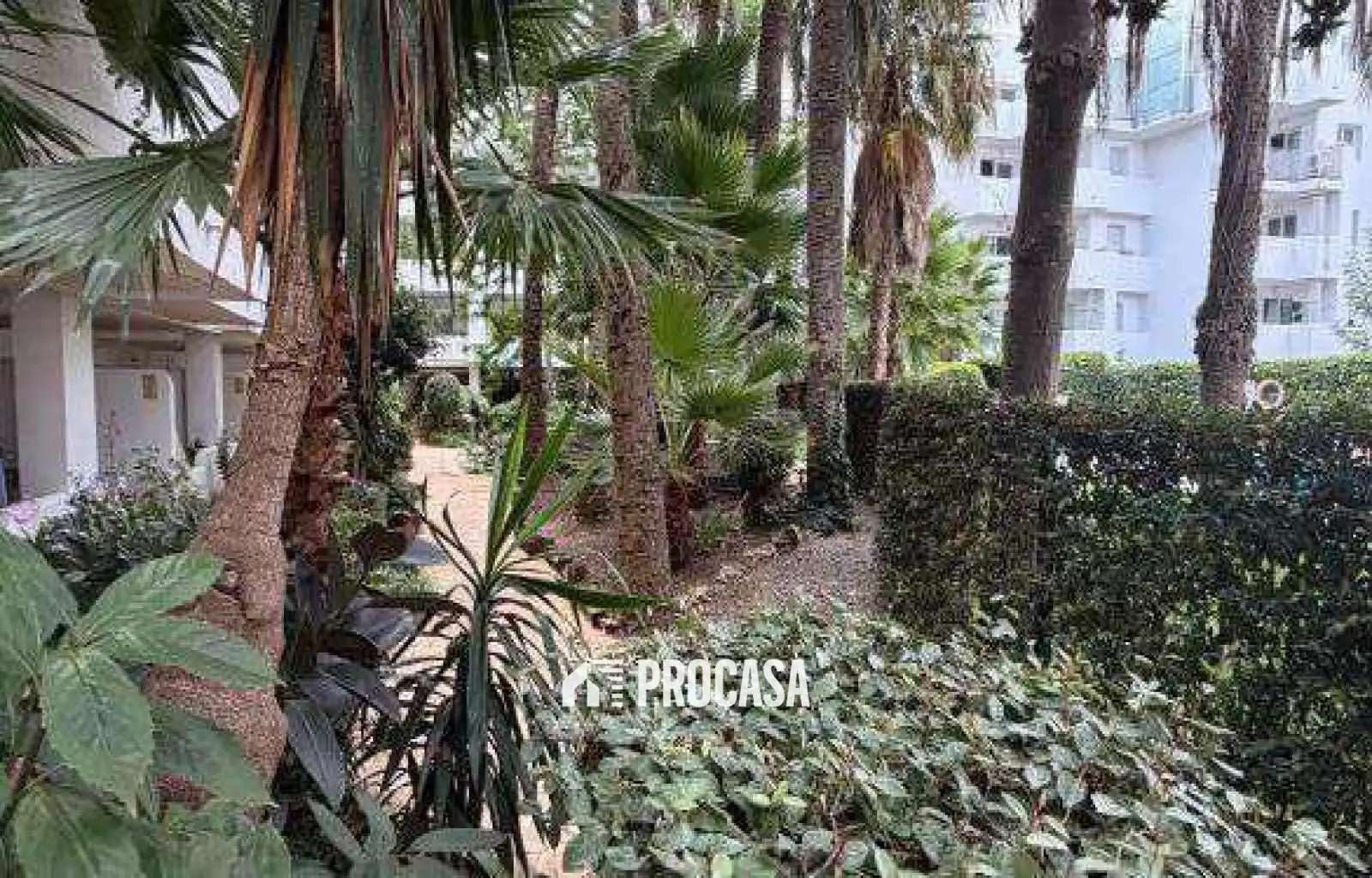 Piso con piscina en venta en Port Joan, imagen 5