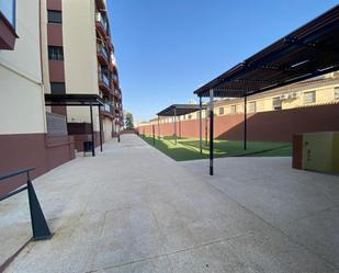 Terrassa de Pis en venda en Mairena del Aljarafe amb Terrassa i Piscina comunitària