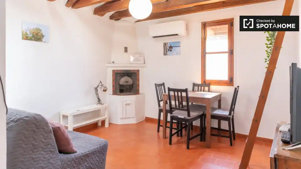 Appartamento in affitto a Centro