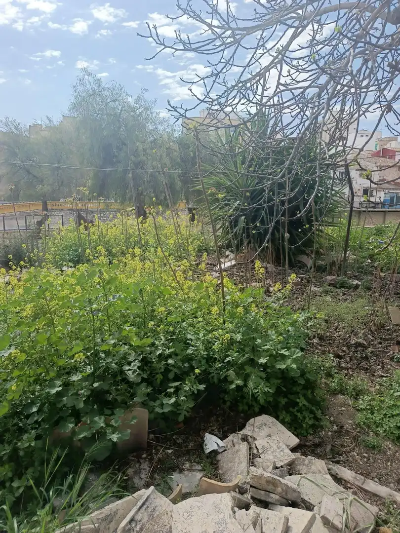 Casa con jardín en venta en Aspe Centro, imagen 14