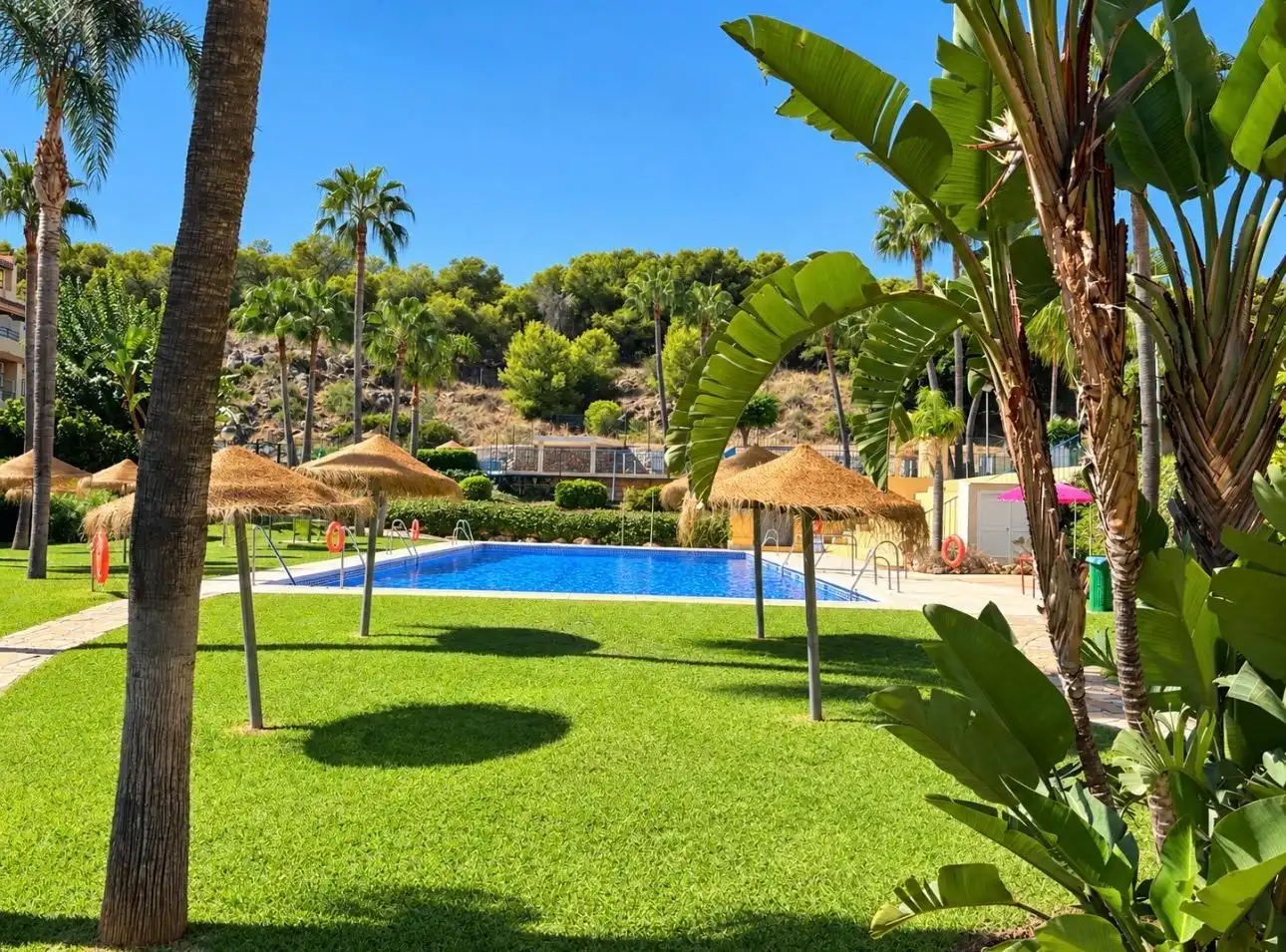 Bajo con piscina en venta en JUAN ROSA MATEO, imagen 46