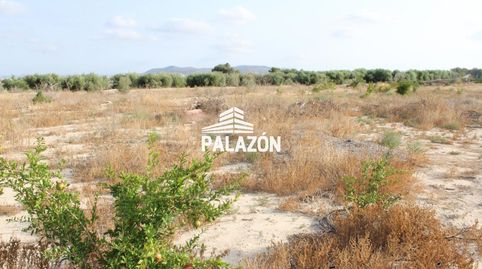 Finca rústica en venta en Albatera Alicante