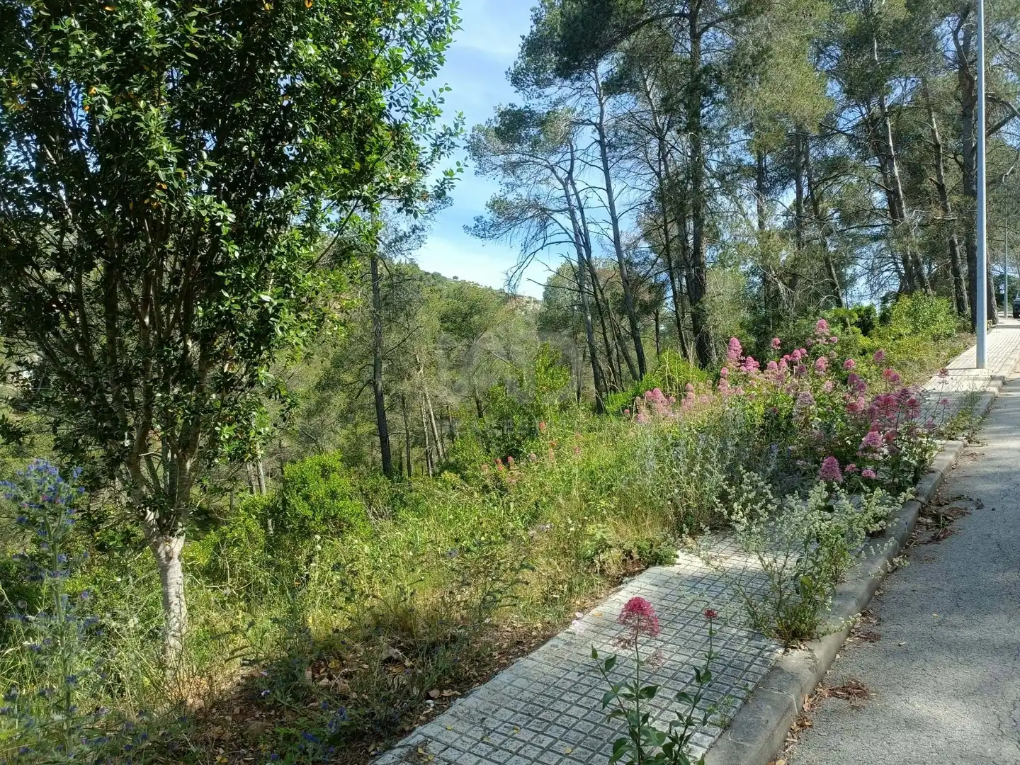 Residential zum Verkauf in Olesa de Bonesvalls