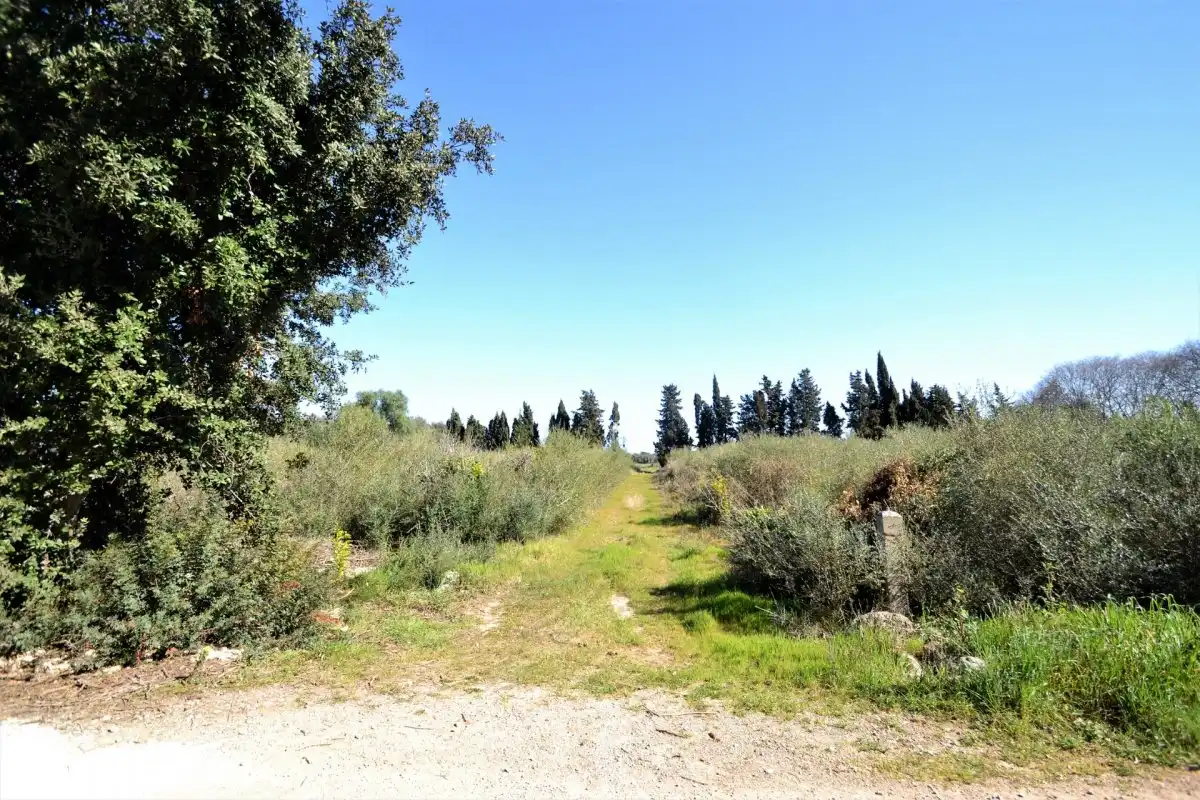 Rural land for sale in Muro, imagen 6