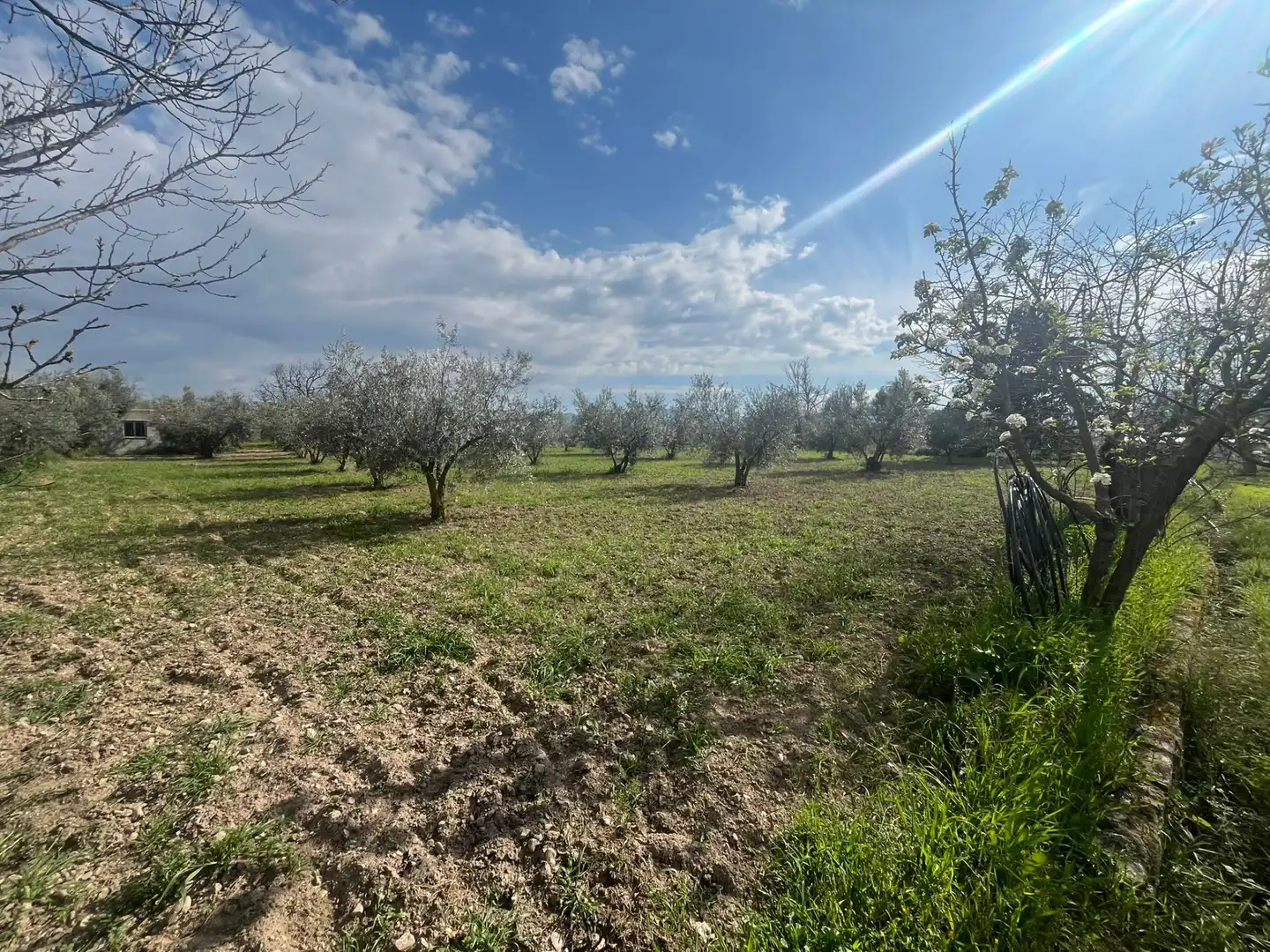Land for sale in Dúrcal