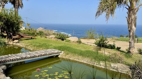 Foto 5 de Finca rústica en venta en Buenavista del Norte, Santa Cruz de Tenerife