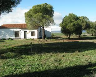 Casa o xalet en venda a Calle Mayor Alta, Cubillo de Uceda