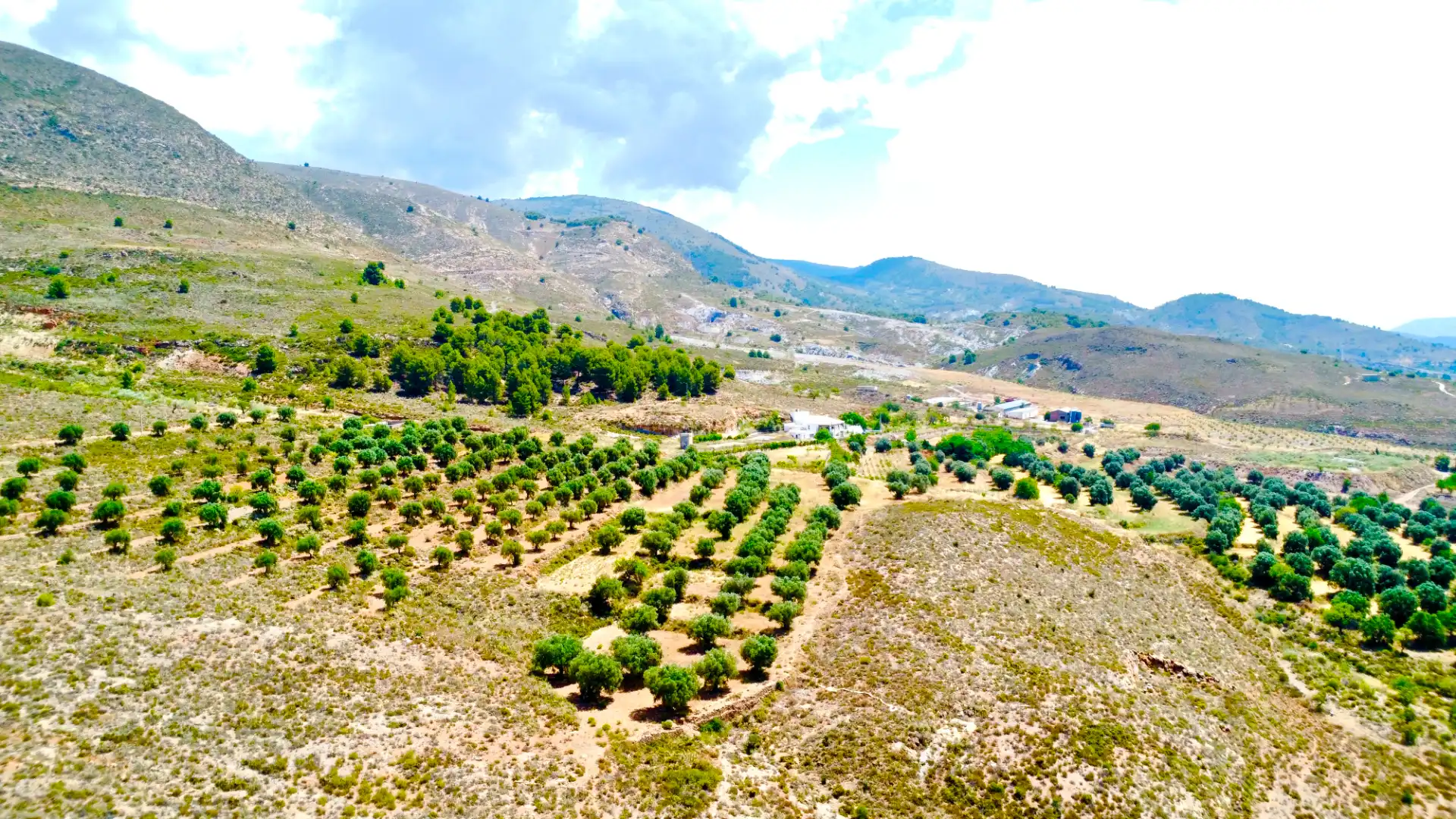 Houses for sale in Laujar de Andarax  with Air Conditioner, Private garden and Terrace