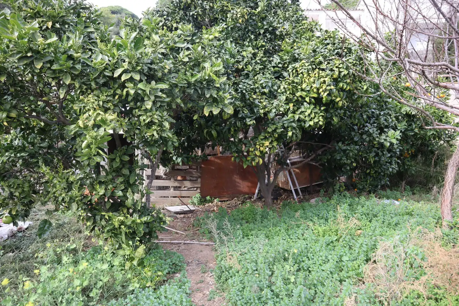 Einfamilien-Reihenhaus zum Verkauf in Tossa de Mar mit Klimaanlage, Privatgarten und Terrasse