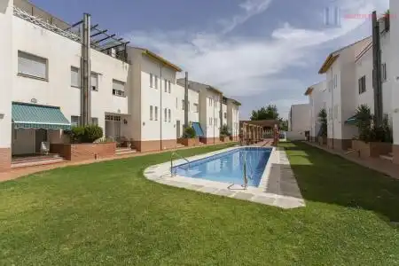 Swimming pool of Houses for sale in Padul