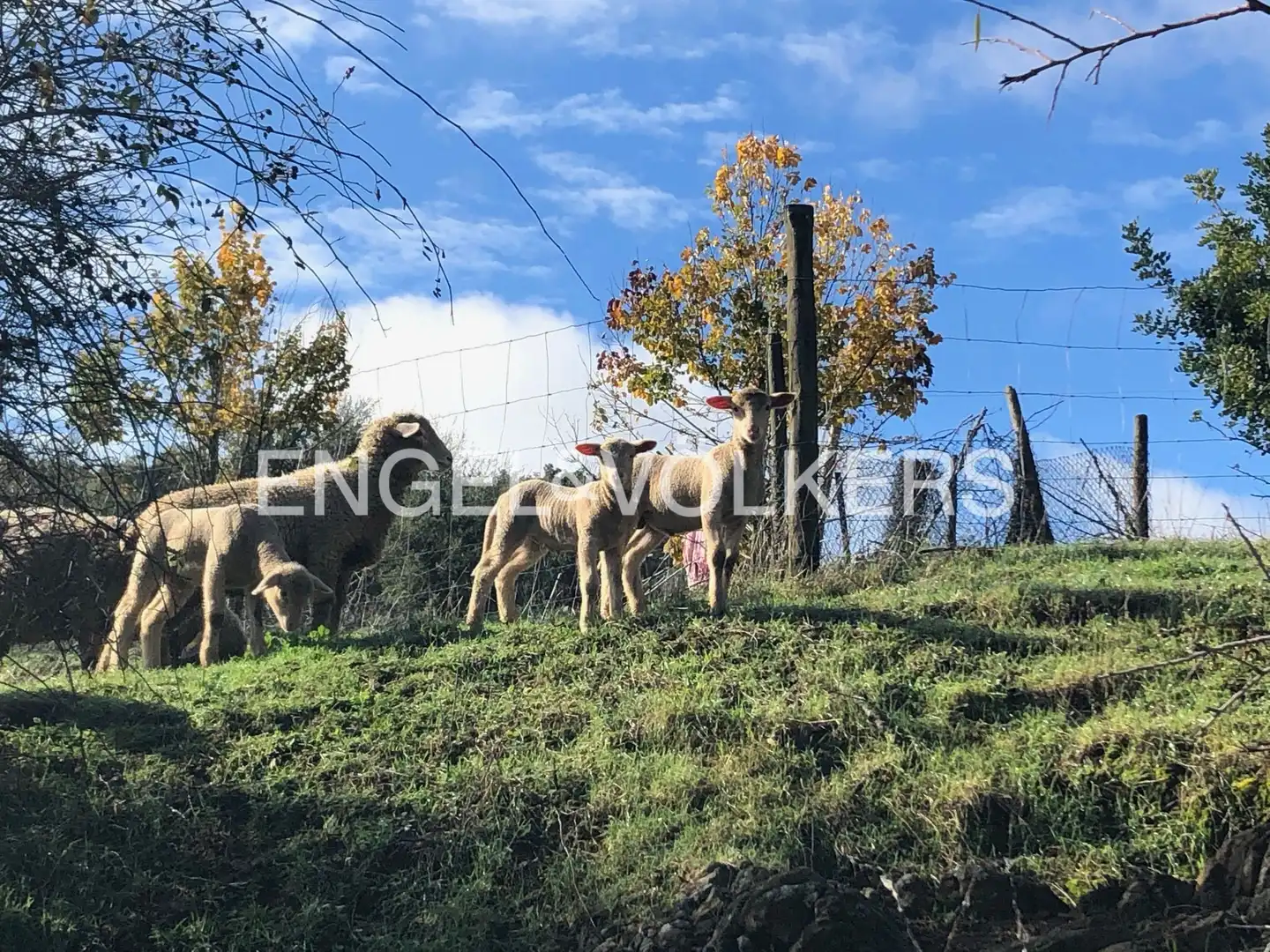 Casa rústica en venda a Constantina, imagen 58