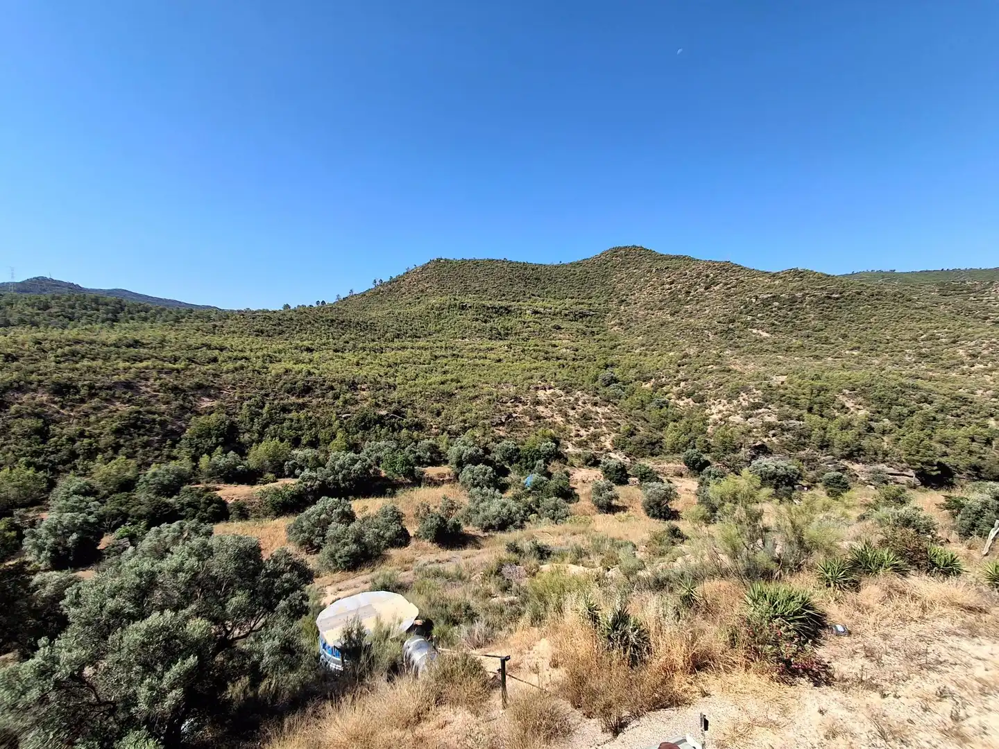 Finca rústica en venda en Riba-roja d'Ebre