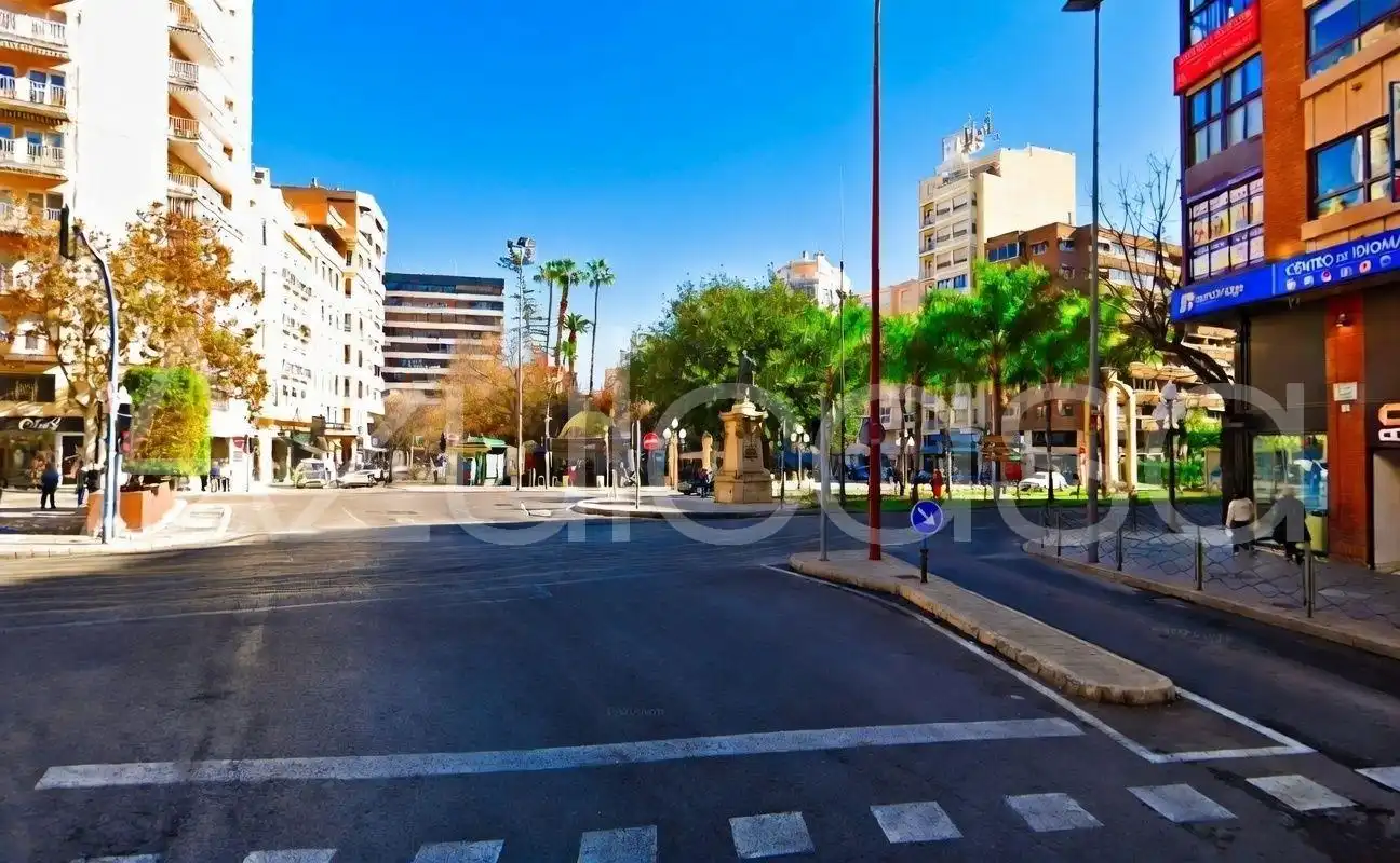 Flat with lift for sale in Avenida Avenida Maisonnave, imagen 31