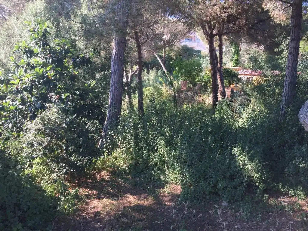 Wohnbaugrundstück zum Verkauf in Calle Benidorm, imagen 10