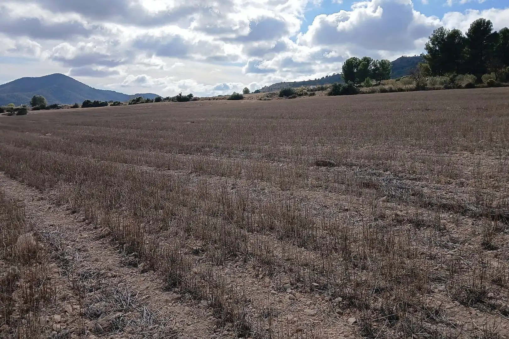 Residencial en venda en Yecla