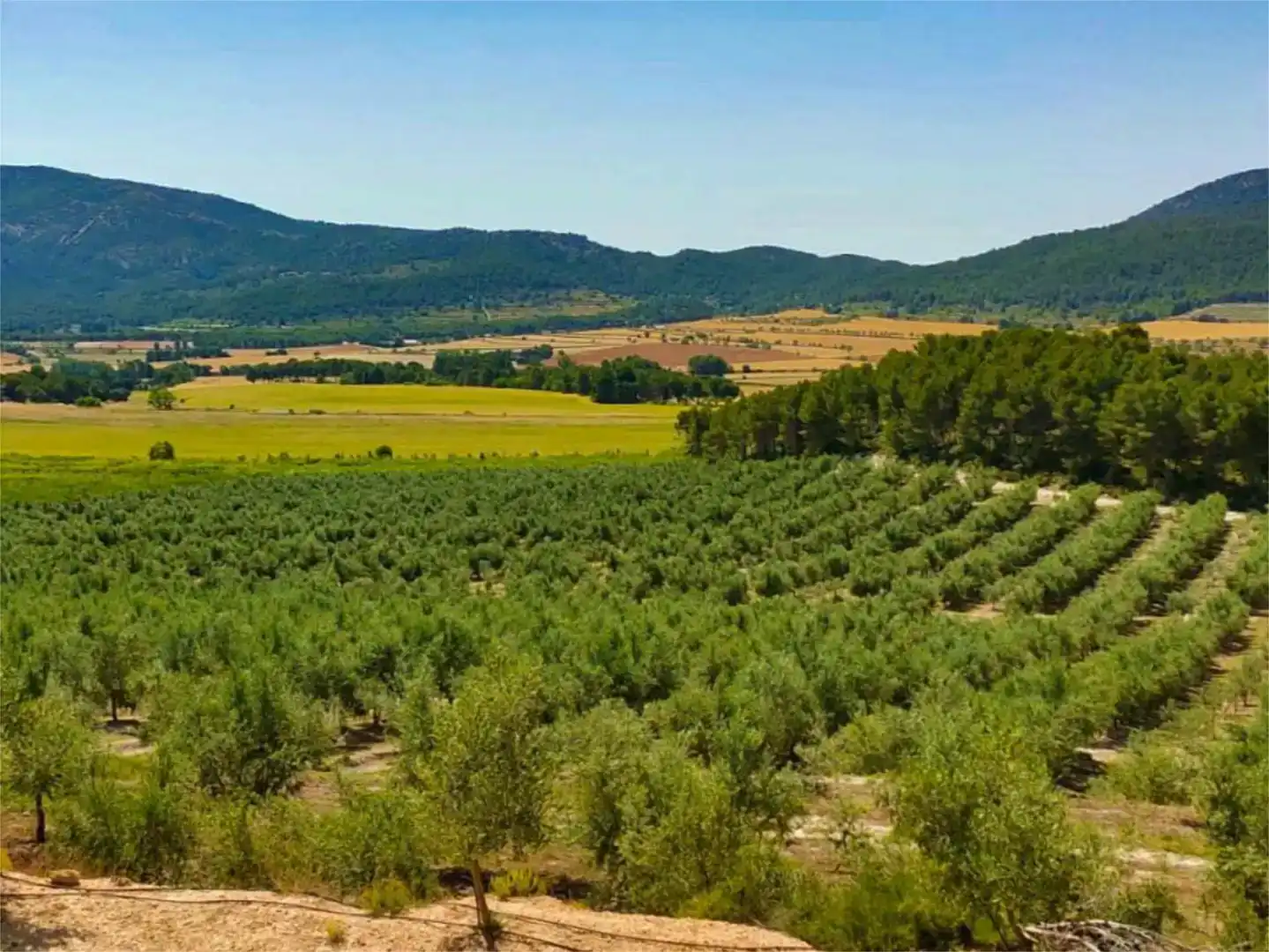 Wohnung zur Miete in Alcoy / Alcoi mit Klimaanlage, Privatgarten und Schwimmbad