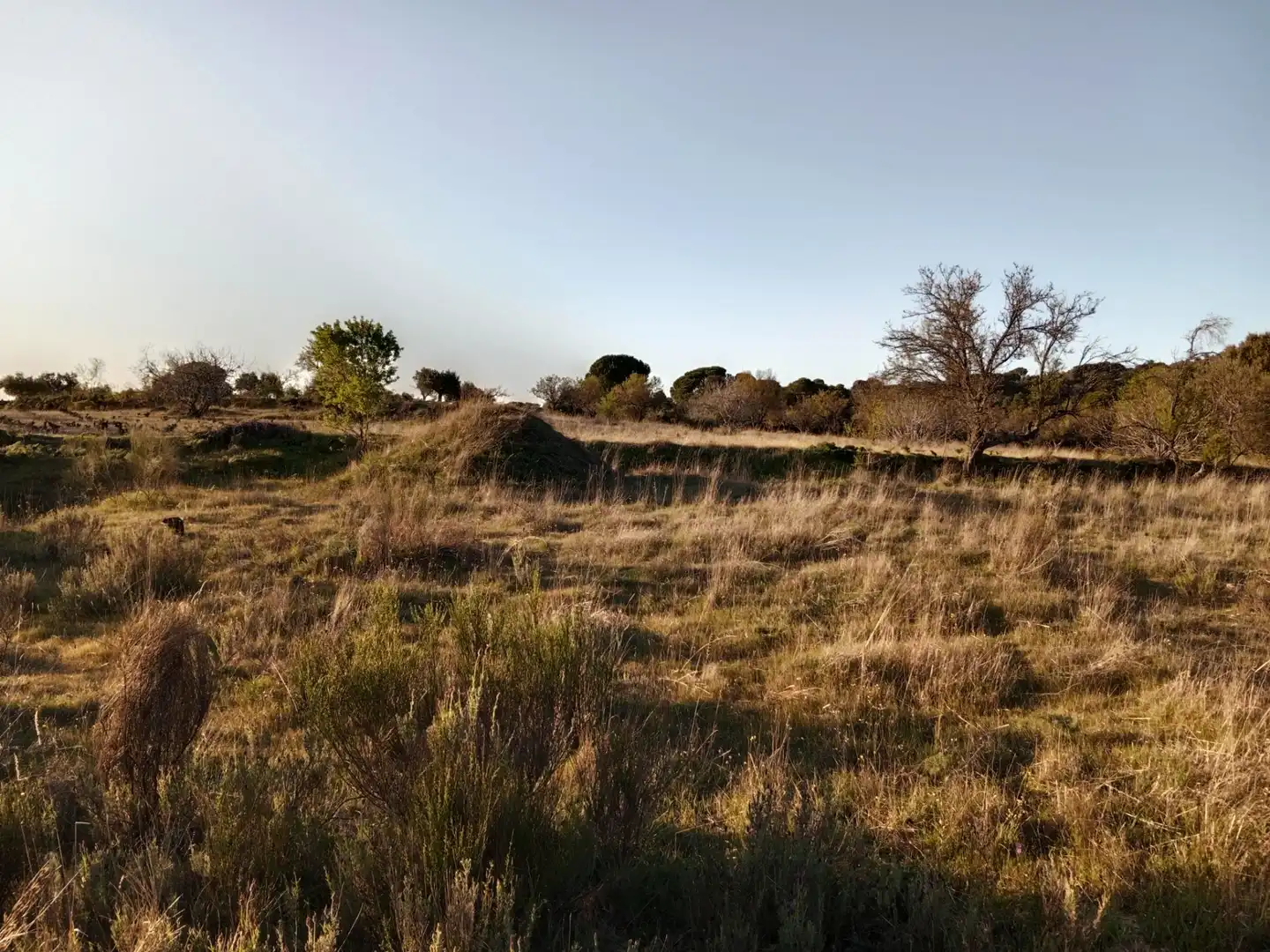 Terreno rustico in vendita a Camino Barzales, imagen 12