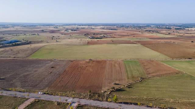 Terreno residencial en Venta en 15-16, S/N en Horche