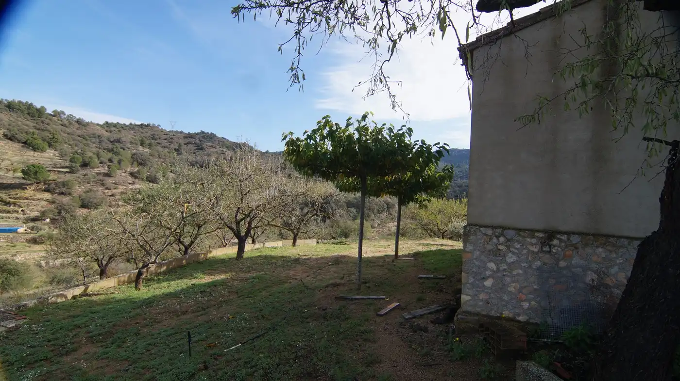 Garden of Country homes for sale in Falset  with Private garden