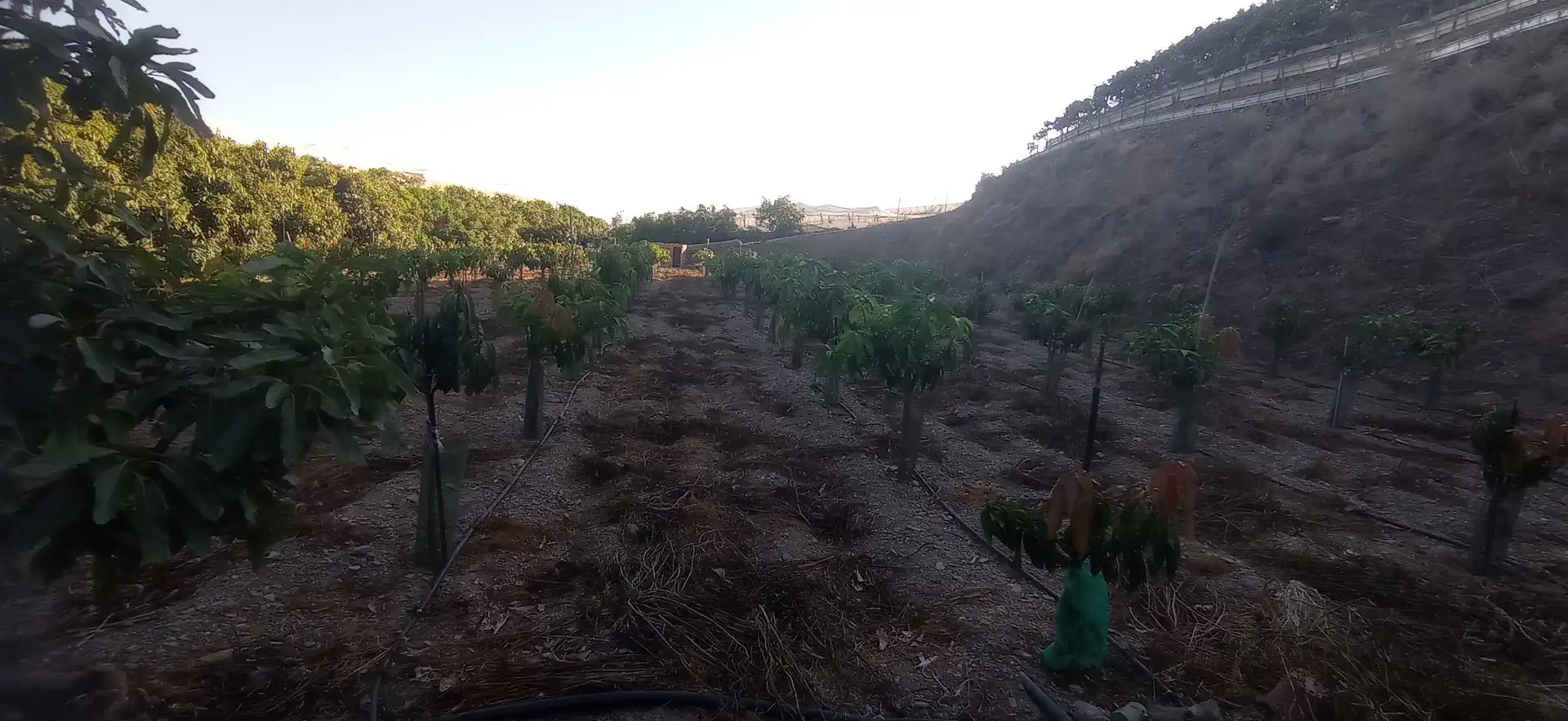 Country house zum Verkauf in Calle Manuel de Falla, Algarrobo Costa