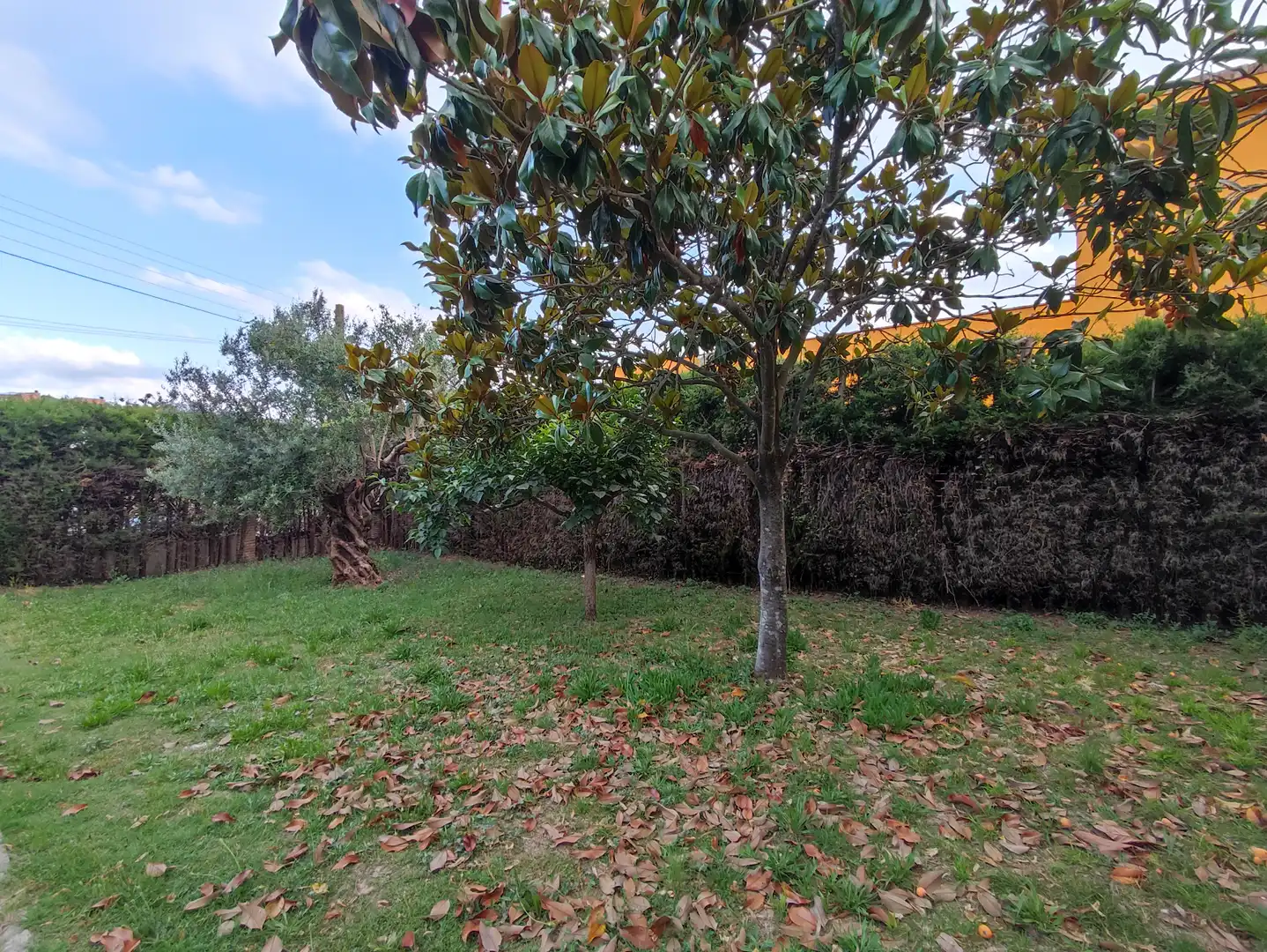 Casa o xalet en venda en Sant Llorenç d'Hortons amb Jardí privat, Terrassa i Traster
