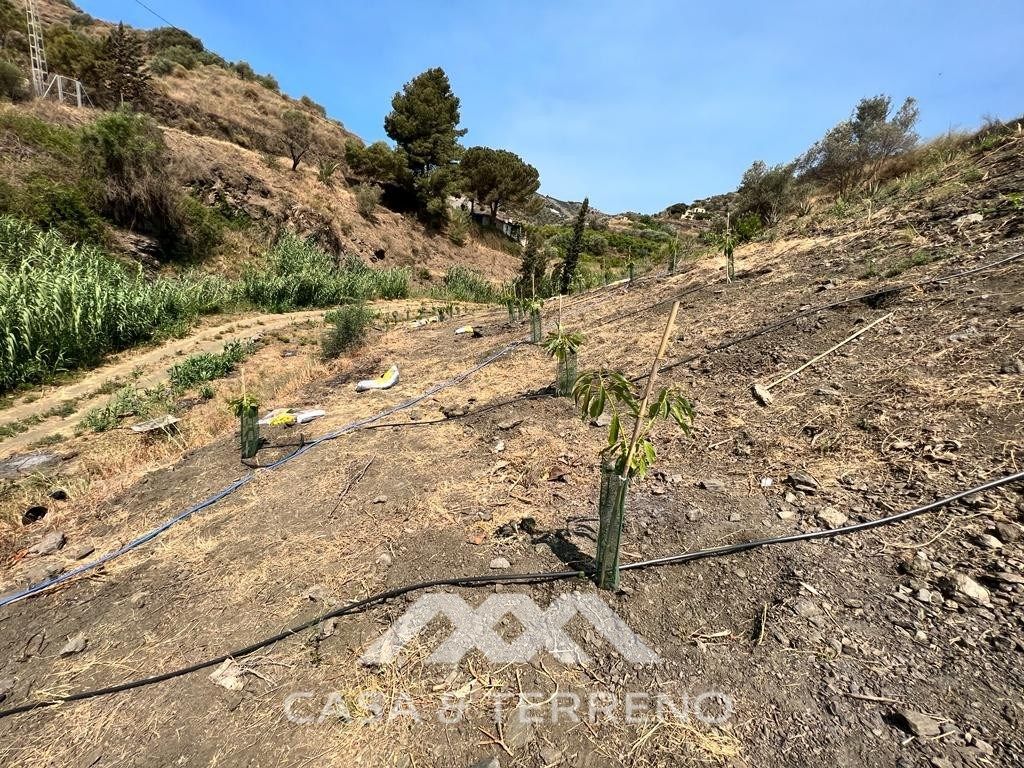Residencial en venda en Torrox
