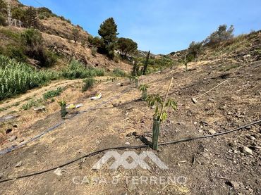 Terreno residenziale in vendita a Torrox Pueblo