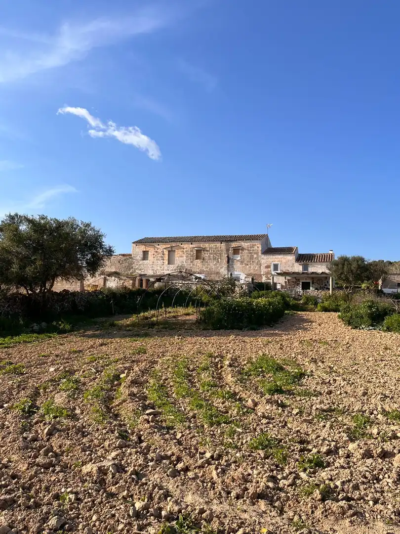 Vista exterior de Terreno en venta en Alaior