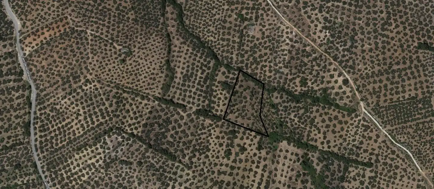 Rural land for sale in Camino de la Dehesa, imagen 11