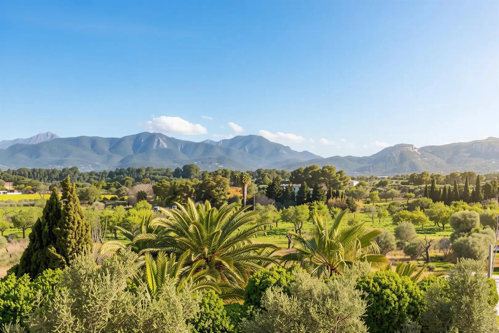 Jardín de Finca rústica en venta en Marratxí con Aire acondicionado, Calefacción y Trastero