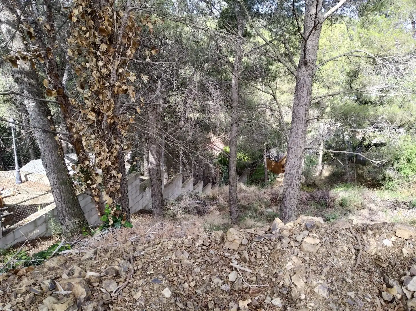 Terreni e lotti in vendita a Carrer Arbolí, imagen 5