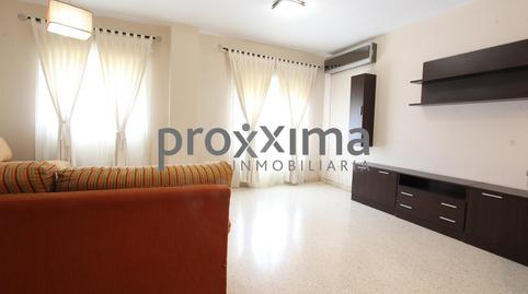 Foto 3 de Pis de lloguer a Calle Doctor Nieto Barrera, Colores -  Entreparques, Sevilla