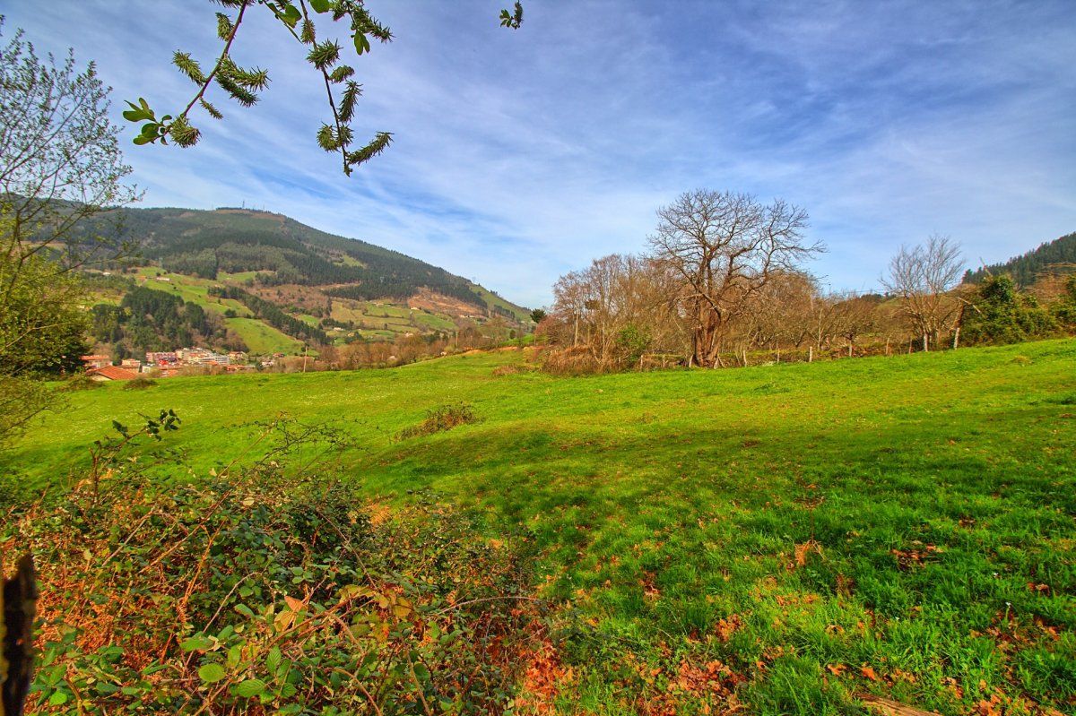 Land for sale in Balmaseda