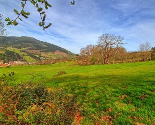 Land for sale in Balmaseda