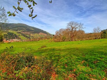Terreno rustico in vendita a Barrio ARBIZ