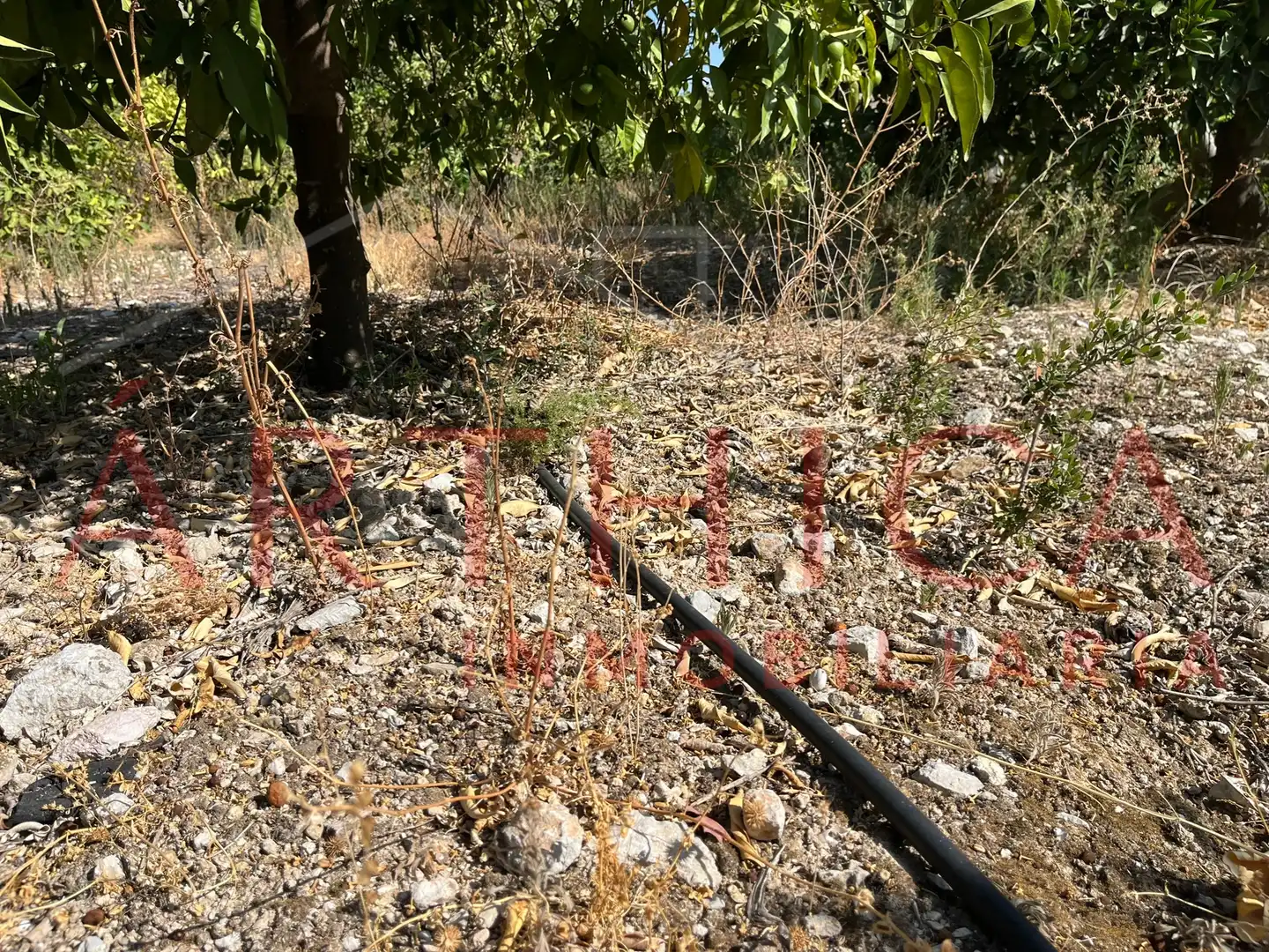 Terreny rústic en venda a Avenida de Andalucia, imagen 6