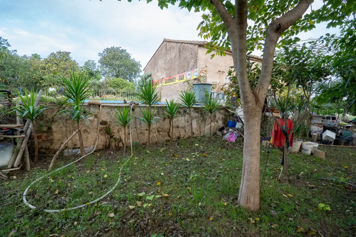 Terreny rústic en venda a Camí del Lloron de Tortosa 28, imagen 5