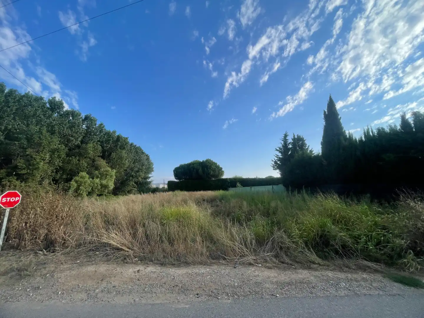 Rural land for sale in Balaguer, imagen 2