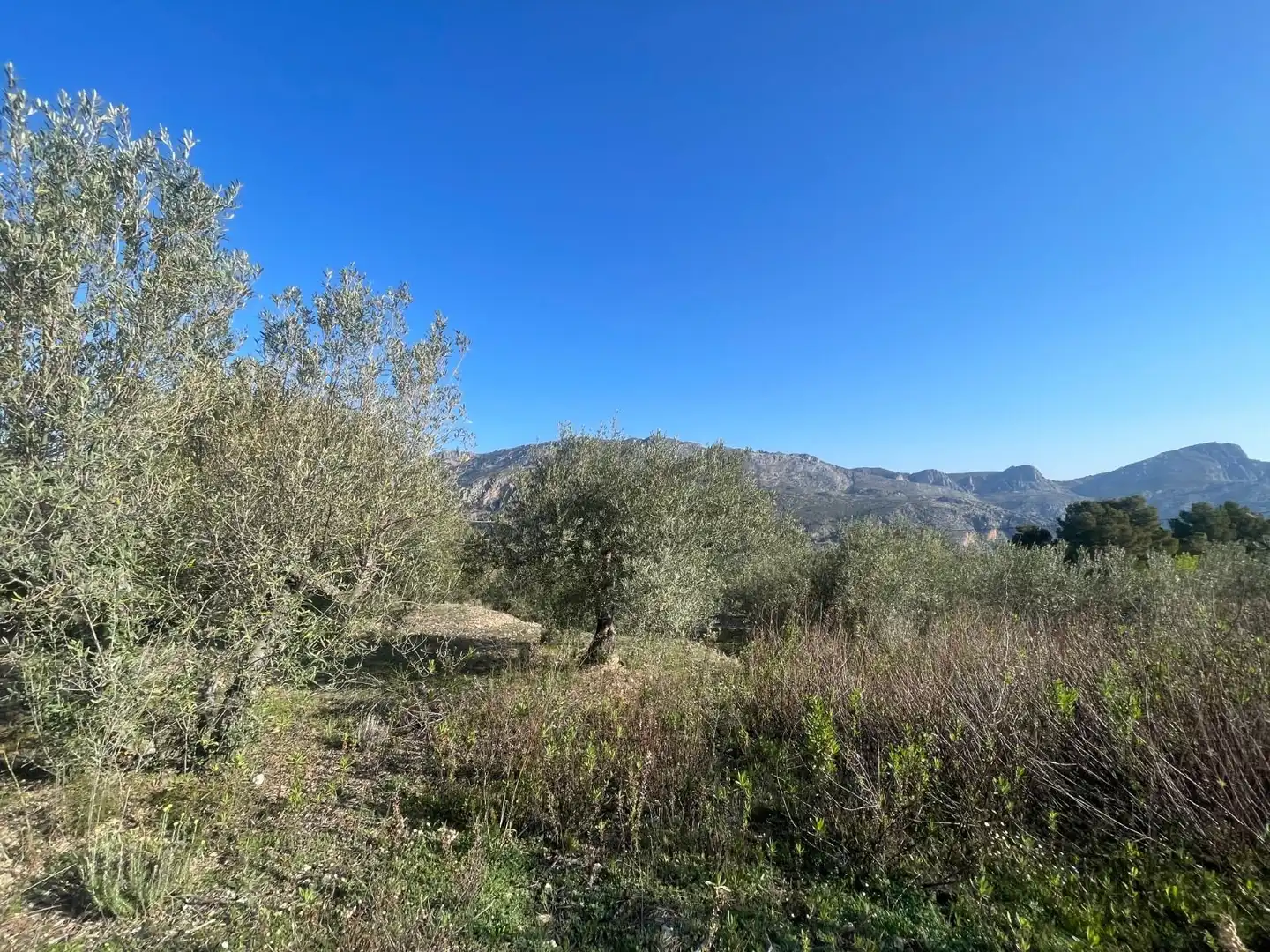 Terrenys i solars en venda a Benifato, imagen 9