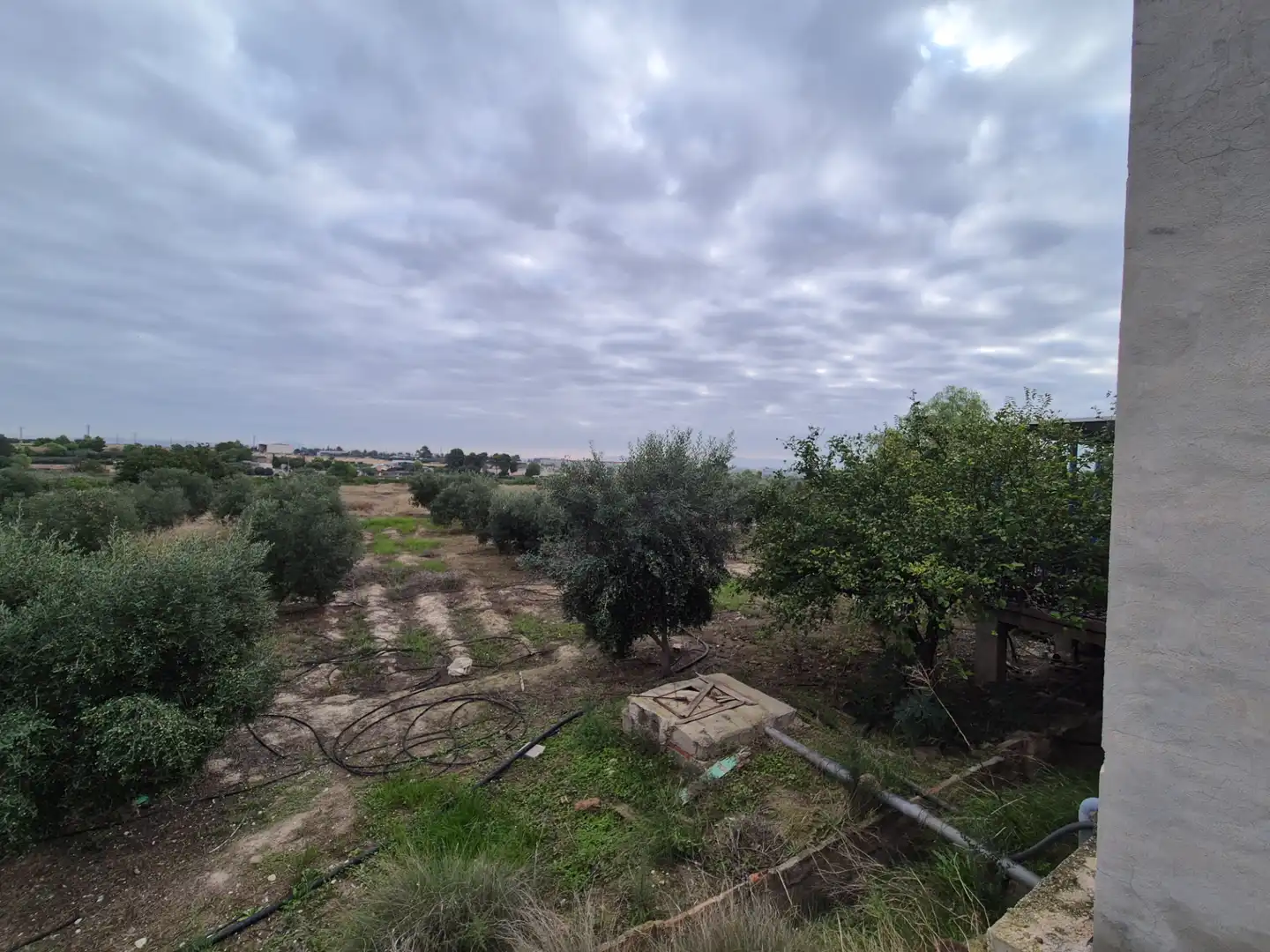 Finca rústica en venda en Las Torres de Cotillas amb Jardí privat, Terrassa i Traster